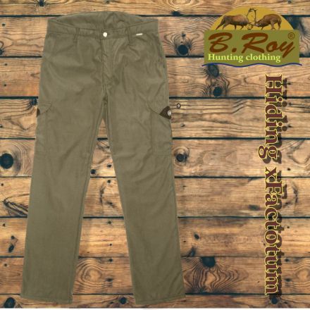 B. Roy Hiding xFactotum